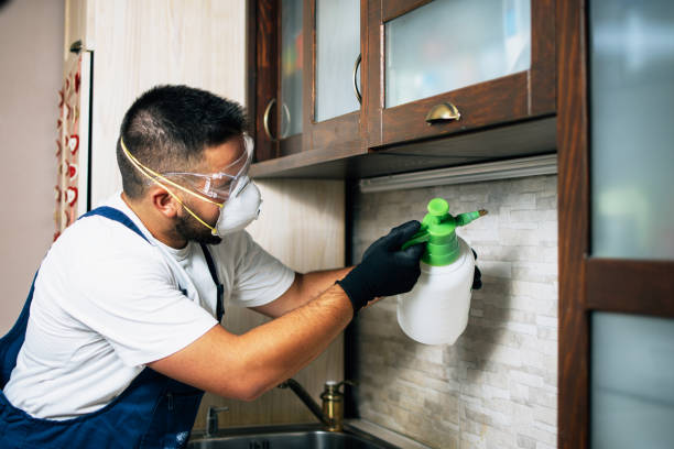 Best Affordable Pest Control Services  in Orland, CA