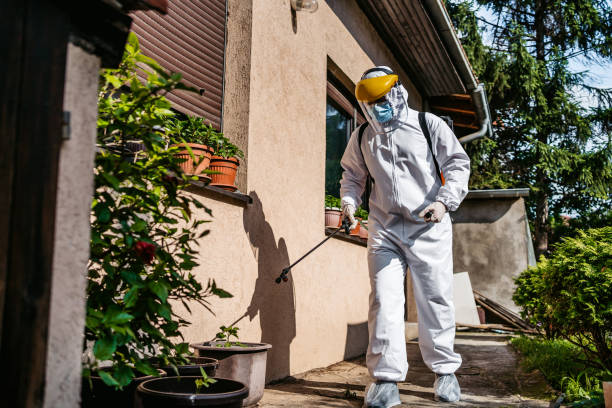 Best Mosquito Control Services  in Orland, CA