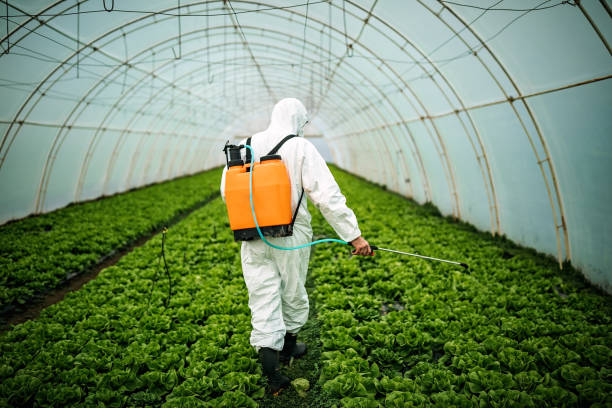 Pest Control Cost in Orland, CA