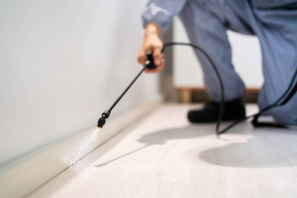 Flea Control Services in Orland, CA